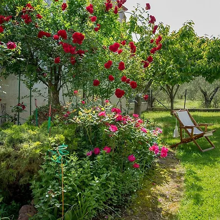 Rustic, Luxurious,garden 70m From The Sea *