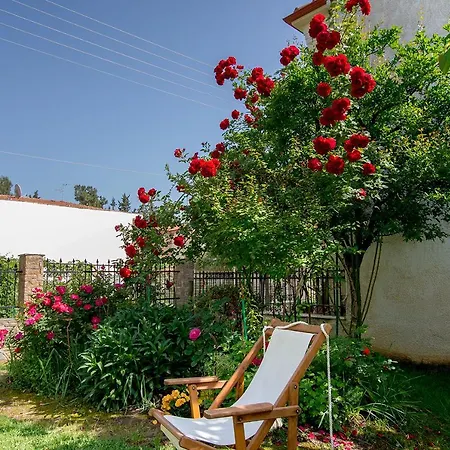Rustic, Luxurious,garden 70m From The Sea